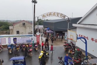 临澧： 农集贸市场旧貌换新颜