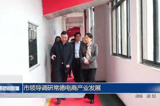 市领导调研常德电商产业发展