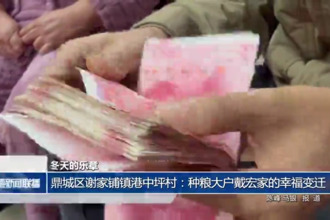鼎城区谢家铺镇港中坪村：种粮大户戴宏家的幸福变迁