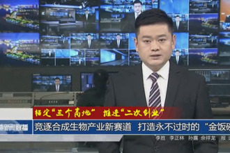 竞逐合成生物产业新赛道 打造永不过时的“金饭碗”