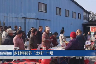 安乡：乡村年货节“土味”十足