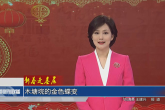 新春走基层 木塘垸的金色蝶变