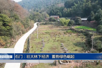 石门：壮大林下经济 蓄势绿色崛起