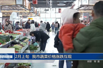 2月上旬 澳门金沙博彩娱乐平台蔬菜价格涨跌互现