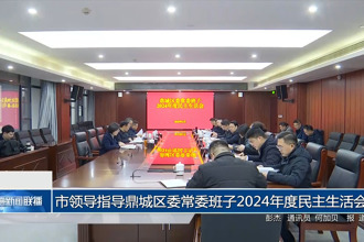 市领导指导鼎城区委常委班子2024年度民主生活会