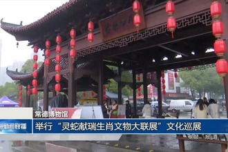 常德博物馆：举行“灵蛇献瑞生肖文物大联展”文化巡展