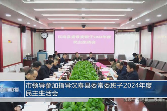 市领导参加指导汉寿县委常委班子2024年度民主生活会