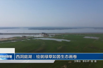 西洞庭湖：绘就绿草如茵生态画卷