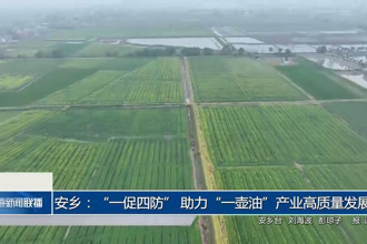 安乡：“一促四防” 助力“一壶油”产业高质量发展