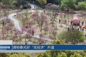 我们的节日 清明(4月4日)