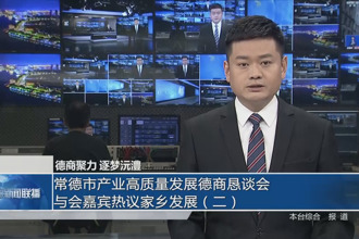 德商聚力 逐梦沅澧(4月4日)