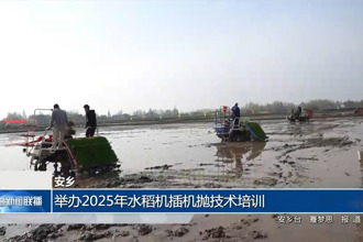 安乡：举办2025年水稻机插机抛技术培训